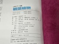 観葉植物 (山渓カラー名鑑) 山と溪谷社 高林 成年