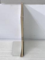 MacでWindowsが本当に使える本 アスキー