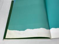 中央アルプスと八ガ岳: 特選10コース (空撮登山ガイド 新版 10) 山と溪谷社 津野 祐次