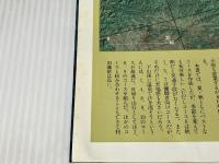 中央アルプスと八ガ岳: 特選10コース (空撮登山ガイド 新版 10) 山と溪谷社 津野 祐次