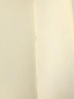 二十一世紀からの報告―ソ連の科学は予言する (1959年) 光文社 S.グウシチェフ