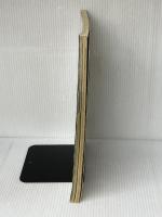 今日から始めるダービースタリオン99 プレイステーション版 (アスキームック) アスキー