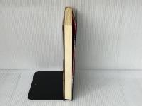 スピンク日記 講談社 町田 康