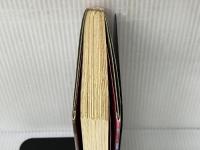 スピンク日記 講談社 町田 康