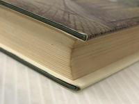 標準ドイツ語 (1970年)