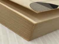 伝承遊びのすすめ―創造性の知能を伸ばすために　 教育出版 清水驍