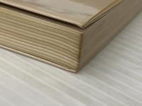 乱脈融資―緊急レポート 大光相互銀行事件 (1979年)