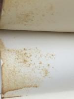 乱脈融資―緊急レポート 大光相互銀行事件 (1979年)