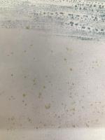 白と黒の造形 新装版 小沢書店 駒井 哲郎