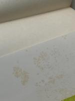 ドイツ語基礎単語3000　 郁文堂 小西邦雄