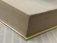 驚異の手のひら療法―すべての病をなおす (Tuchiyaヘルスseries) つちや書店 日比野喬