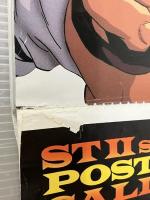 ストリートファイターII ザ・ムービー　パーフェクトムビー