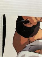 ストリートファイターII ザ・ムービー　パーフェクトムビー