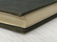 東洋医学の哲学 最高判断力の書　 日本CI 桜沢 如一