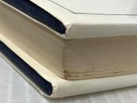 ルチアノの幸運 (1982年) (Hayakawa novels)