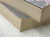 きのね 上下巻セット　 朝日新聞社 宮尾登美子