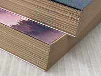 山霧 －毛利元就の妻－ 上下巻セット (文春文庫)