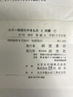 韓国のやきもの〈2〉高麗―カラー (1977年)