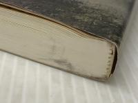 北天の魁: 安部貞任伝　 岩手日報社 菊池 敬一