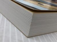 ウゾワニ物語 ビアフラ戦争の地に黄金の稲穂を夢見た技術者達