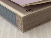 ポケモンといっしょにおぼえよう！　熟語大辞典 読売新聞東京本社 編集・読売新聞東京本社教育支援部