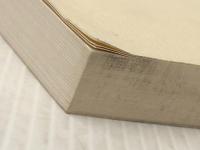 子どものしっと心　 法政大学出版局 E.チマン