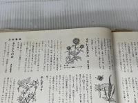 池坊 (1971年) (オールカラーいけばな全書)