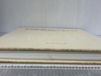 目でみる手技療法の複合テクニック 産学社エンタプライズ出版部 安達和俊