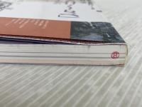 たけくらべアルバム (芸術夢紀行シリーズ 2) Jパブリッシング