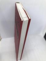 ミハエル・クルムのレ-シング「超」運転術 東邦出版 ミハエル クルム