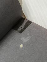 ただの人となれ 今こそあたりまえに生きよう　 山手書房 光永 澄道