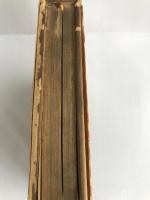 カラークッキング 第4巻 前菜とおつまみ 主婦と生活社 主婦と生活社