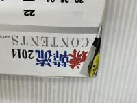 嫌韓流2014 (晋遊舎ムック) 晋遊舎