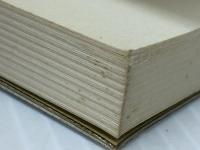 治療精神医学への道程　 治療精神医学研究所 辻悟