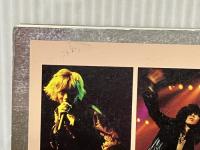 The Yellow Monkey so alive