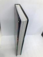 The Amazing Voyage : The Third Adventure in the Kingdom of Fantasy  Scholastic Inc. Geronimo Stilton