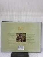 【※イタミ有り】Brother Wolf: A Forgotten Promise Northword Pr Brandenburg, Jim