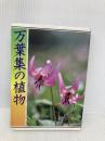 万葉集の植物 偕成社 吉野 正美