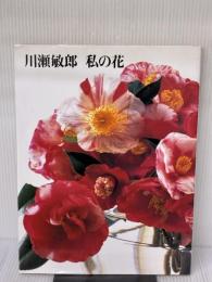 川瀬敏郎私の花 講談社 川瀬 敏郎