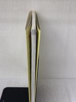 【※イタミ有り】アルパインクライミング (ヤマケイ・テクニカルブック―登山技術全書) 山と溪谷社 保科 雅則