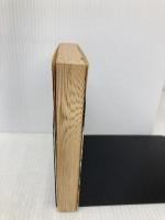 【※イタミ有】青の騎士ベルゼルガ物語絶叫の騎士 (ソノラマ文庫 は 1-4) 朝日ソノラマ はま まさのり