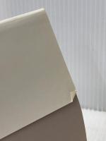 友よ!未来をうたえ〈続〉―日本フィルハーモニー物語 (1977年)