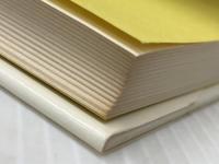 詩よ歌よ、さようなら (1978年) 冬樹社 富岡 多恵子