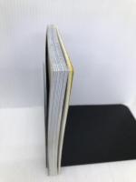 ネパールヒマラヤ・トレッキング 第2改訂版 (ブルーガイド・ワールド 24) 実業之日本社 内田 良平