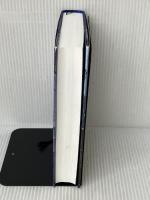 覇王の轍 小学館 相場 英雄