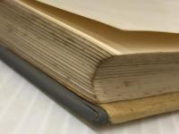 ブラジルポルトガル語の入門　 白水社 富野 幹雄