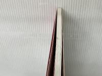 わんちゃん・はるちゃんのごっこあそび百貨店: 子どもの創造性を生かす (すぐに生かせる実技シリーズ) アドグリーン企画出版 犬飼 聖二