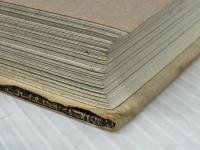 アレクサンドリア・プロジェクト　アレクサンダー大王の謎と古代都市計画　 工作舎 ステファン・Ａ・シュワルツ　　幾島幸子・訳