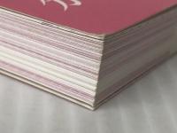 小論文の書き方　 マイナビ出版 マイナビ進学編集部