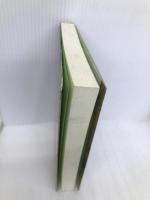 八重山ジャンルごと小事典 ボーダーインク 崎原 恒新